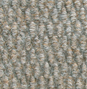 acorn