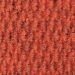 NextGen ScrollGallery thumbnail